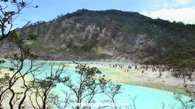 Tempat Wisata Di Ciwidey